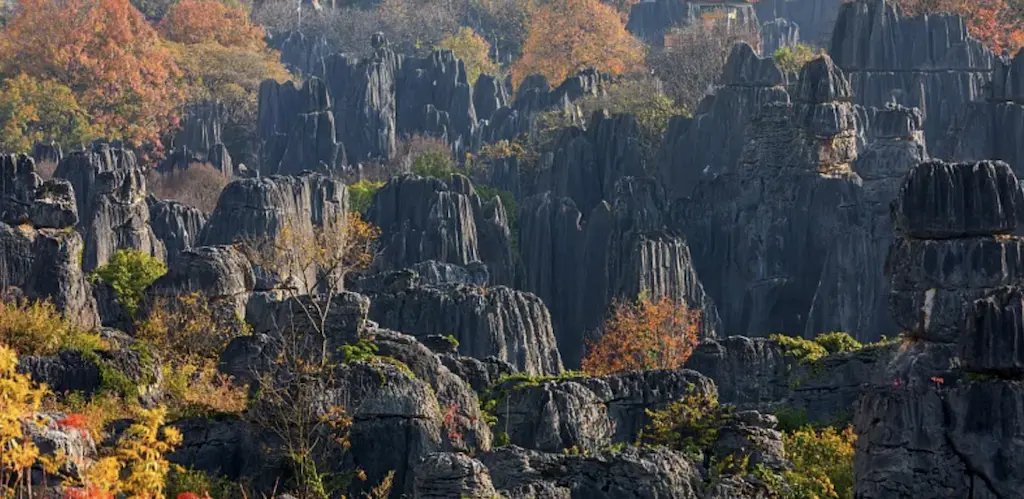 Stone Forest in Kunming Stone Forest Scenic Area, Yunnan, China