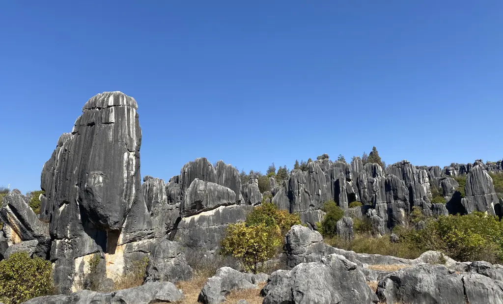 Stone Forest in Kunming Stone Forest Scenic Area, Yunnan, China
