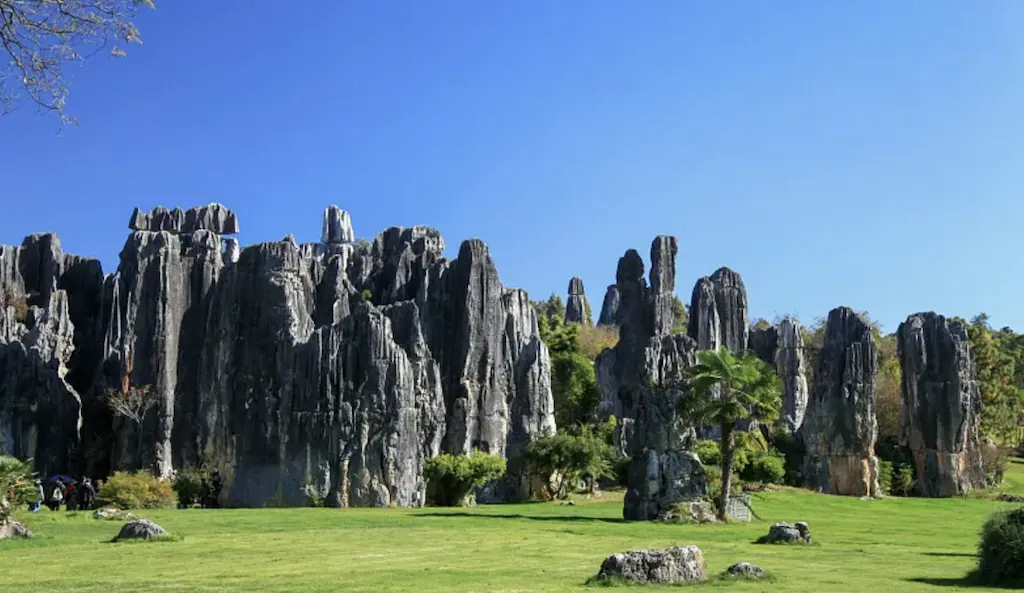 Stone Forest in Kunming Stone Forest Scenic Area, Yunnan, China