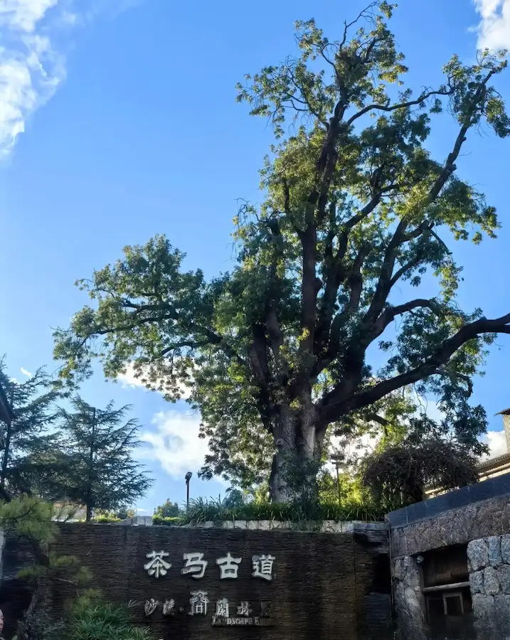 Yunnan Shaxi Ancient Tea Horse Road