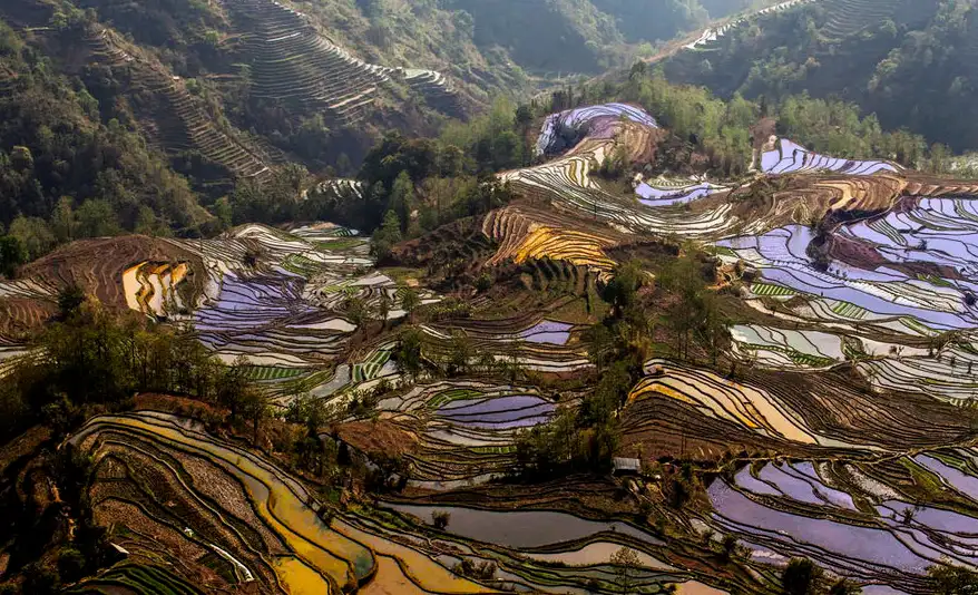 Tiger Mouth Terraces in Yunnan