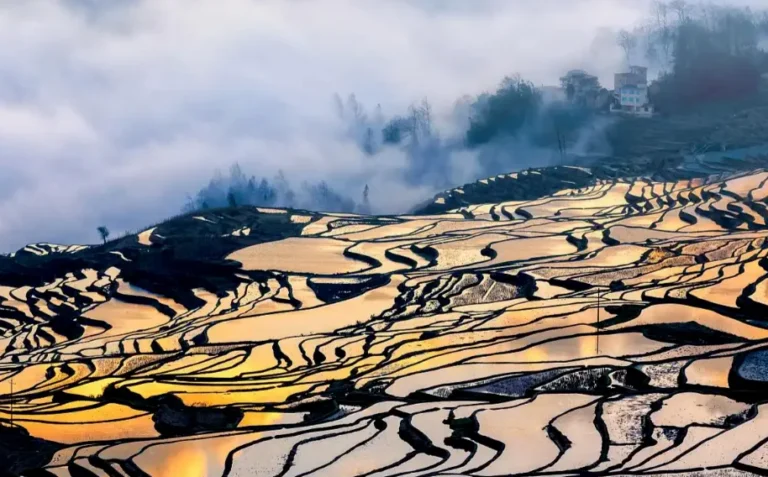 yuanyang rice terraces yunnan china