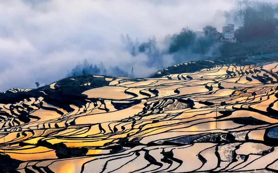 yuanyang rice terraces yunnan china