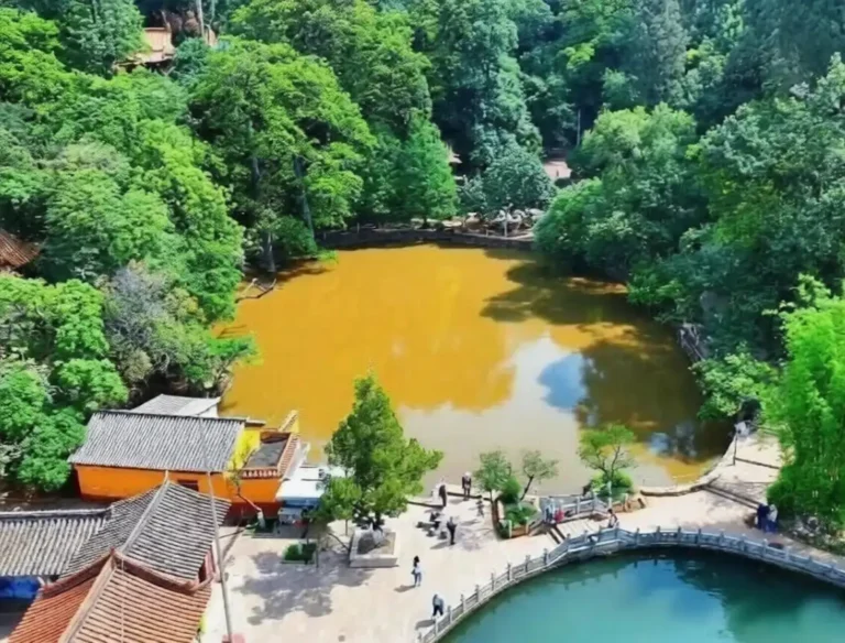 Clear and muddy twin ponds at Black Dragon Pool Park Kunming