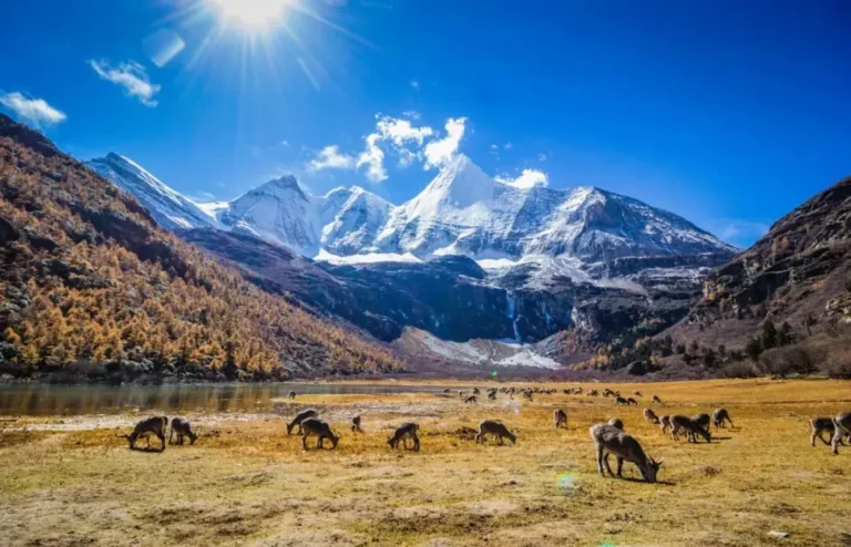 Shangri-La in autumn the season changes how many days you need in Yunnan